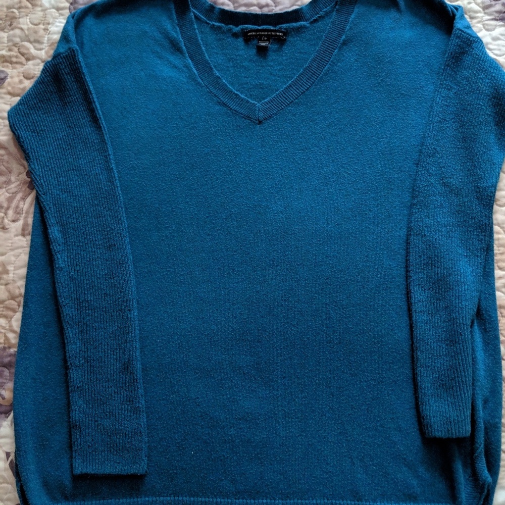 Amwrican Eagle Joshua Tree Sweater